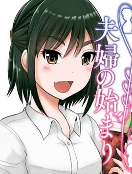 擦肩而过是夫妻的开始封面