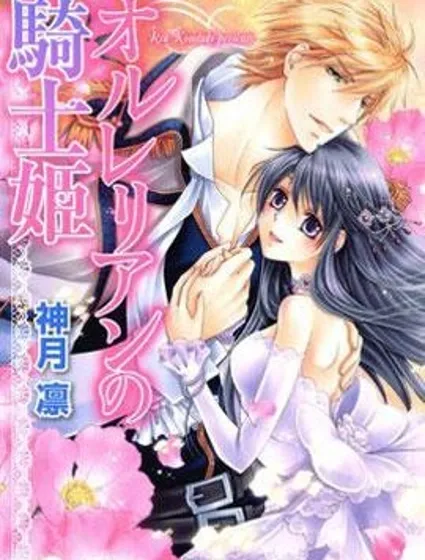 騎士姬的秘密戀情封面