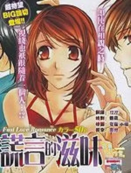 謊言的滋味封面