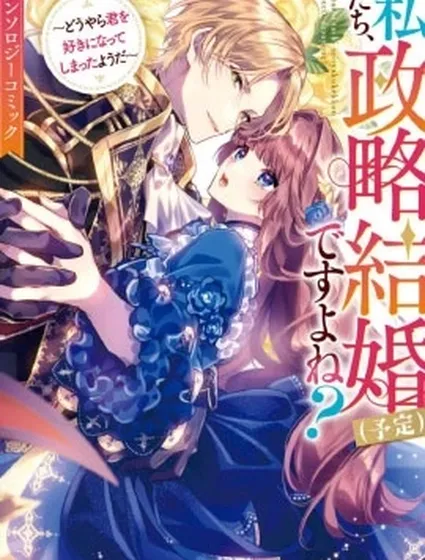 我們，不是政治結婚（預定）嗎？～看來我似乎心悅於你了～封面