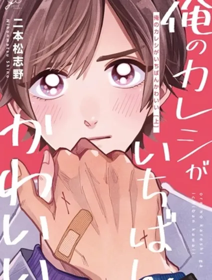 我的男友世上最可愛封面