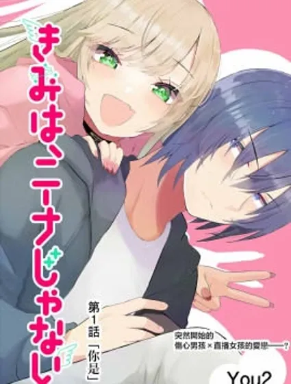 你、不是妮娜封面