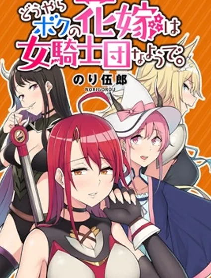 看来我的新娘是女骑士团封面