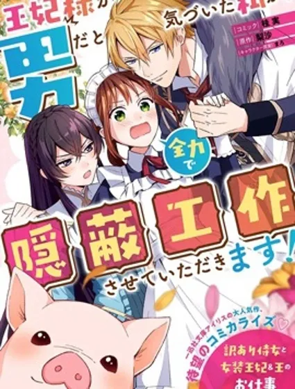 当发现王妃大人是男人之后、我开始全力协助隐瞒工作封面