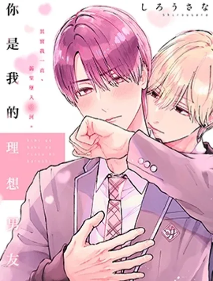 你是我的理想男友封面