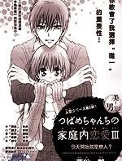 小燕的家庭內戀愛封面