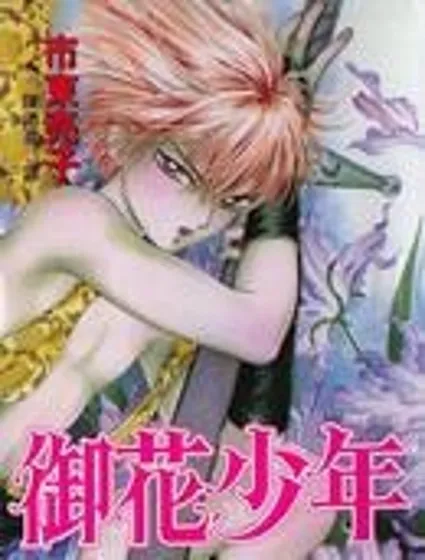 御花少年封面