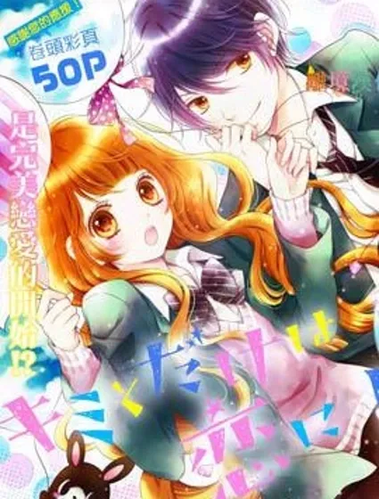 絕對不會與你墜入愛河封面