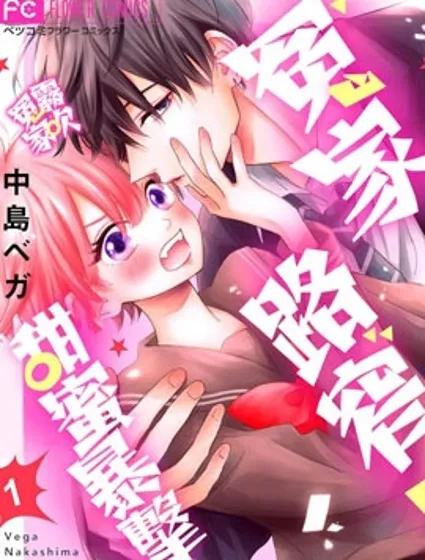 冤家路窄 甜蜜暴擊封面