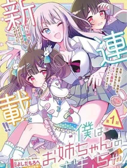 我是姐姐的玩具封面