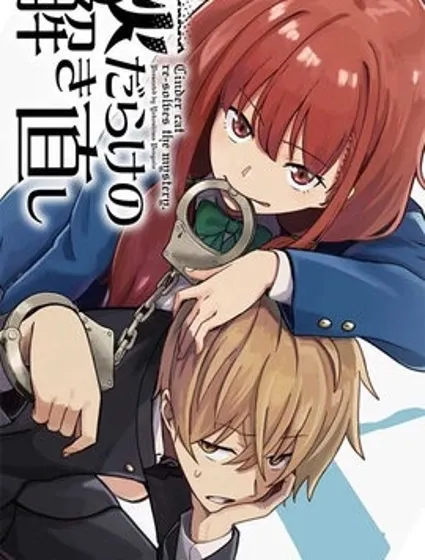 满是猫灰的抽丝剥茧封面