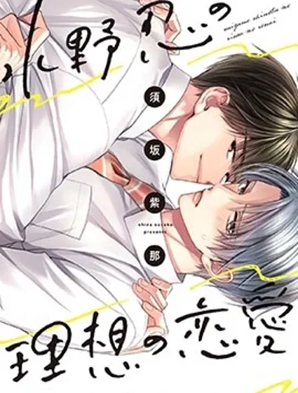 水野忍的理想的戀愛封面