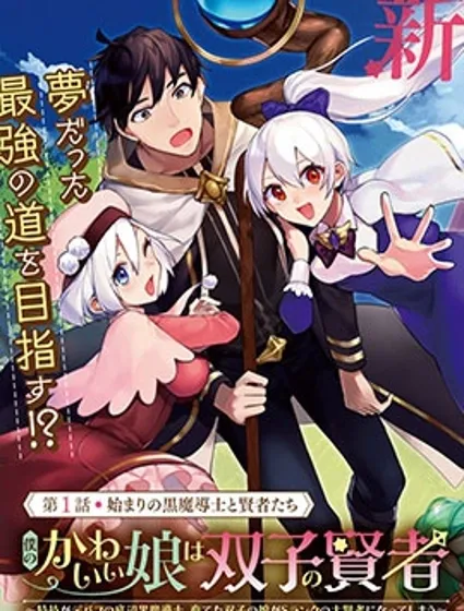 我可爱的双胞胎女儿是贤者封面