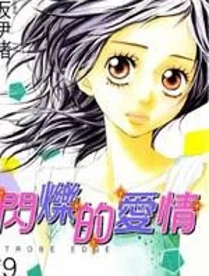 閃爍的愛情封面