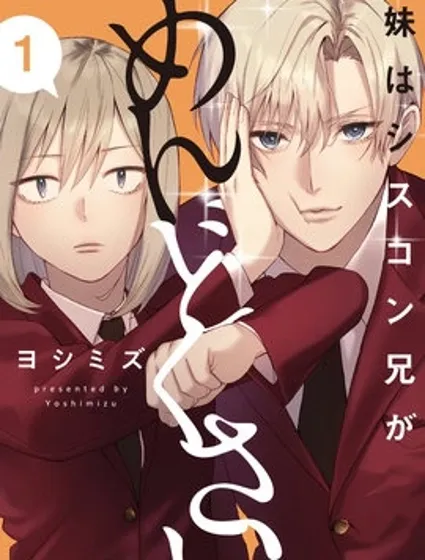 妹控老哥好烦封面