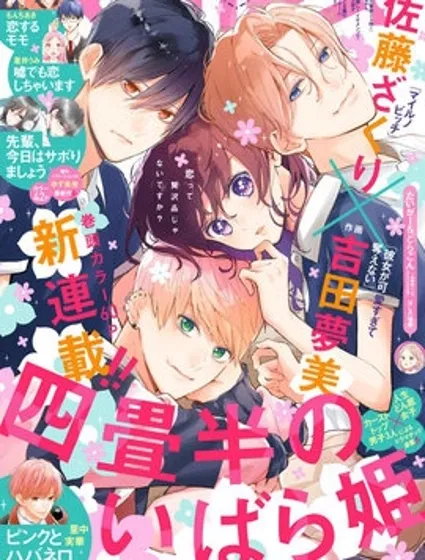 四叠半的睡美人封面