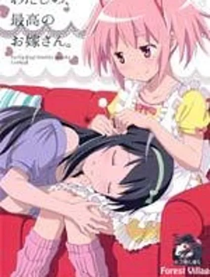 我最棒的新娘封面